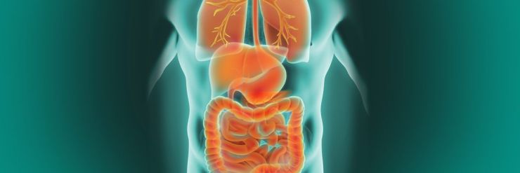 Green light given for life-saving cancer treatment