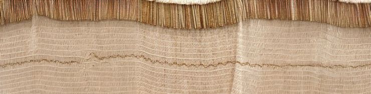 Te Aho o Te Kahu marks one year anniversary